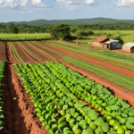 **Sustainable Agriculture Practices in Paraguay**: Create an image depicting a vibrant Paraguayan farm showcasing sustainable agriculture practices. Include elements such as diverse crops, healthy soil, and farmers engaged in agro-ecology and permaculture techniques. Emphasize the lush landscape and biodiversity that reflects the benefits of these methods.
